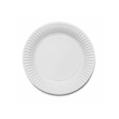 6" Paper Plates