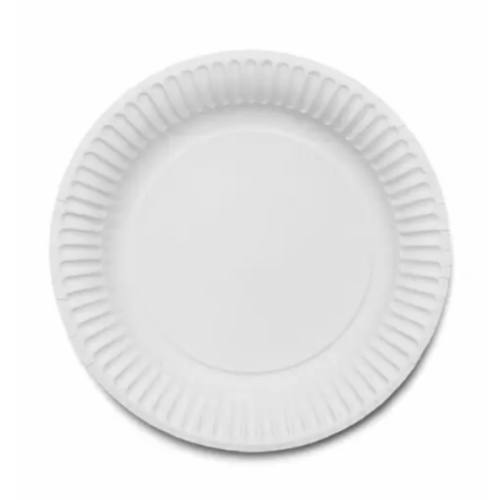 9" Paper Plates