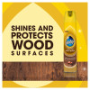 Pledge Aerosol Natural Wood Polish 250ml