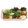 Eco-Fibre Large Food Tray 22x13.5x3cm